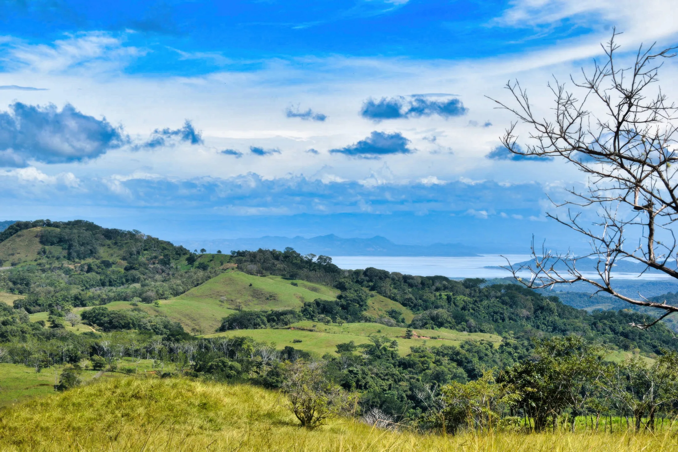 View from Finca Monte Romo across green hills toward the Gulf of Nicoya
